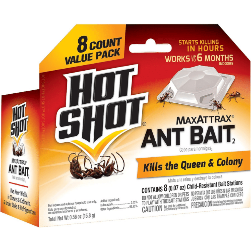 Win the Battle Against Ants: Discover the Best Ant Traps Today!