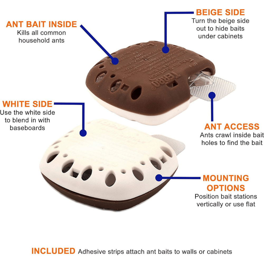 Win the Battle Against Ants: Discover the Best Ant Traps Today!