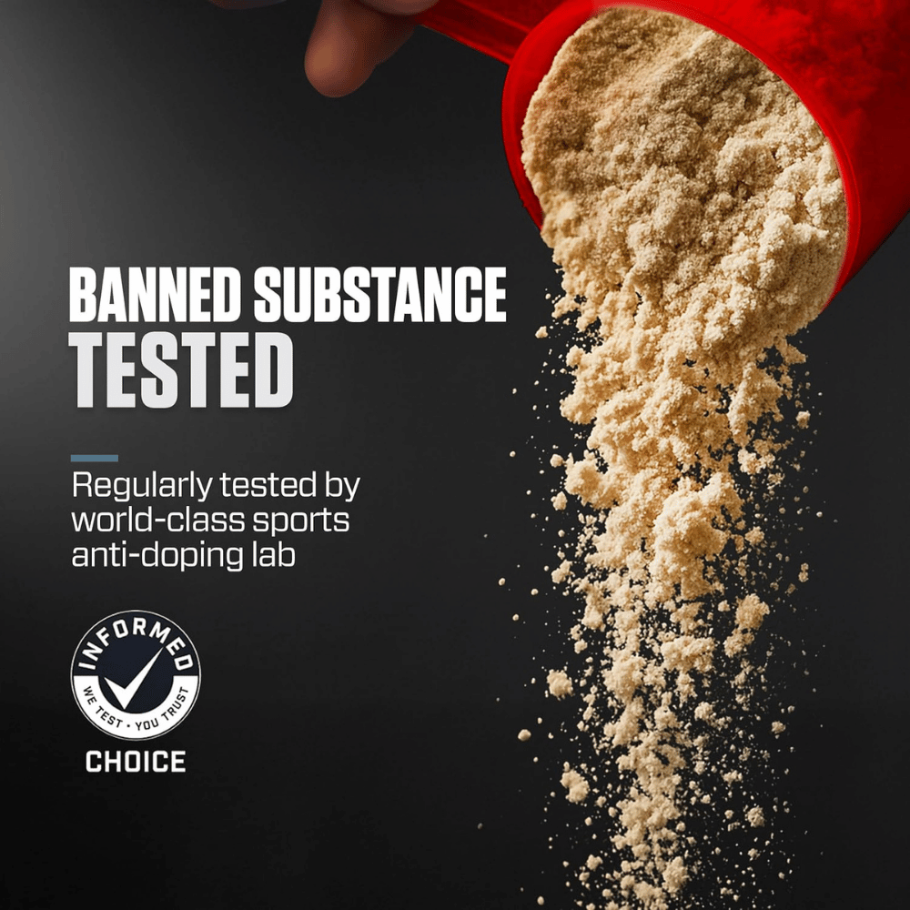 Chocolate Protein Powder: A Delicious Way to Boost Your Nutrition