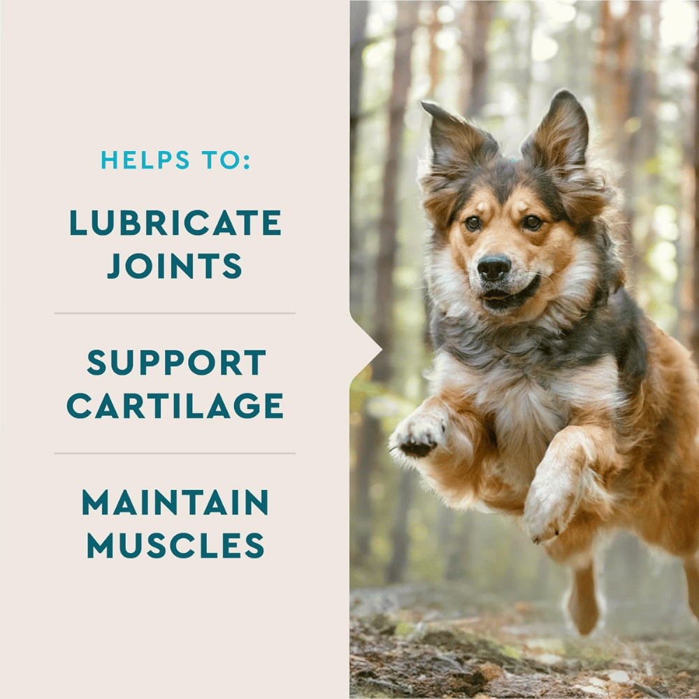 VetIQ Glucosamine Hip & Joint Supplement for Dogs