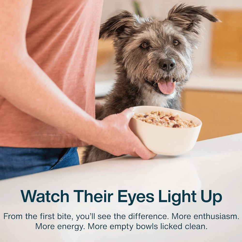 JustFoodForDogs Frozen Fresh Dog Food