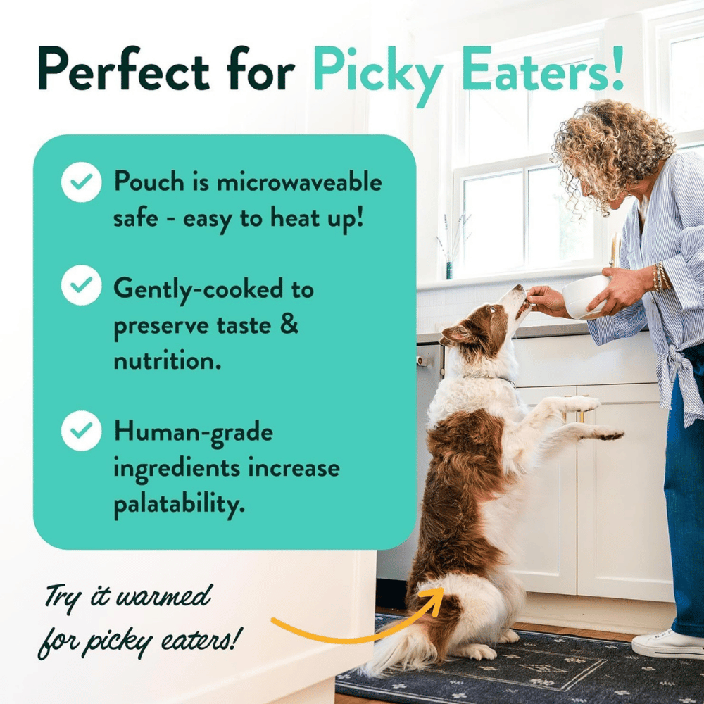 Portland Pet Food Company Fresh Dog Food