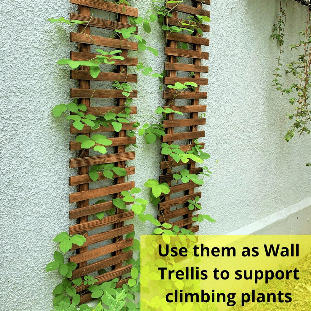 ShopLaLa Wall Planter