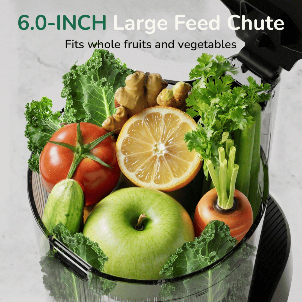 Canoly Cold Press Juicer