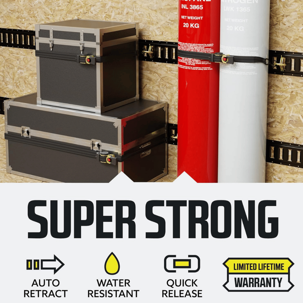 DC Cargo Mall Auto Retractable Ratchet Straps