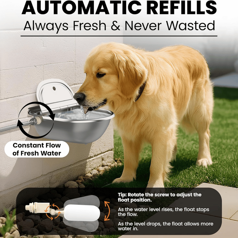 BKH Design Pet Water Dispenser