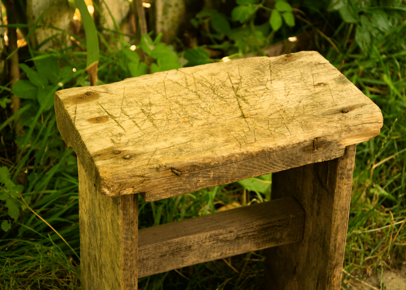 Experience Unmatched Comfort in Your Garden with Our Game-Changing Gardening Stool!