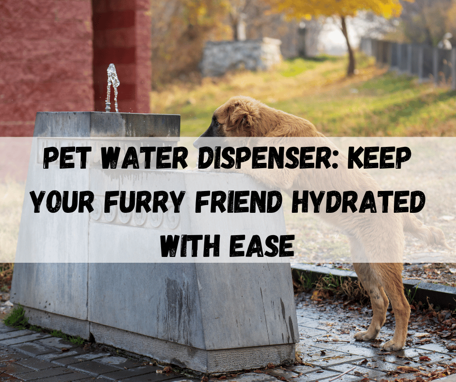 Pet Water Dispenser
