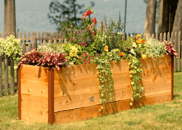 Discover the Joy of Gardening with the Perfect Raised Garden Bed!