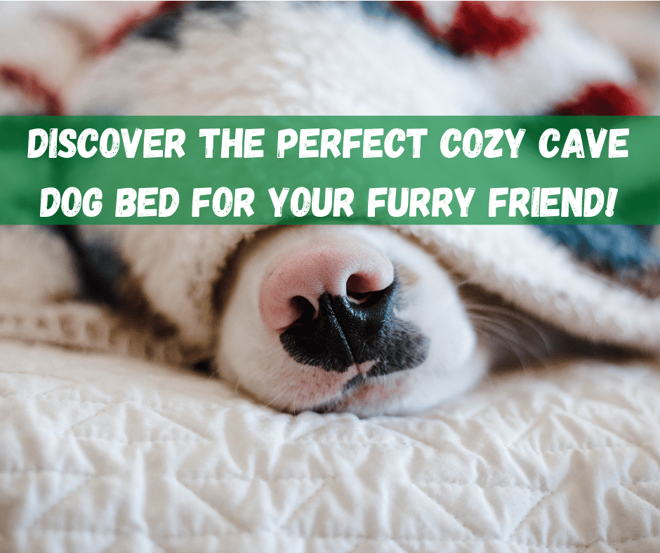 Cozy Cave Dog Bed