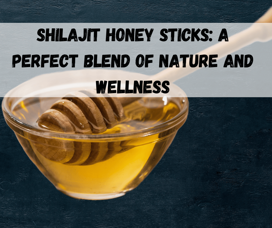 Shilajit Honey Sticks