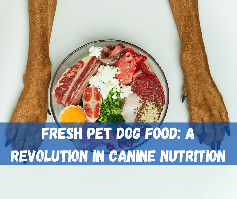 Fresh Pet Dog Food