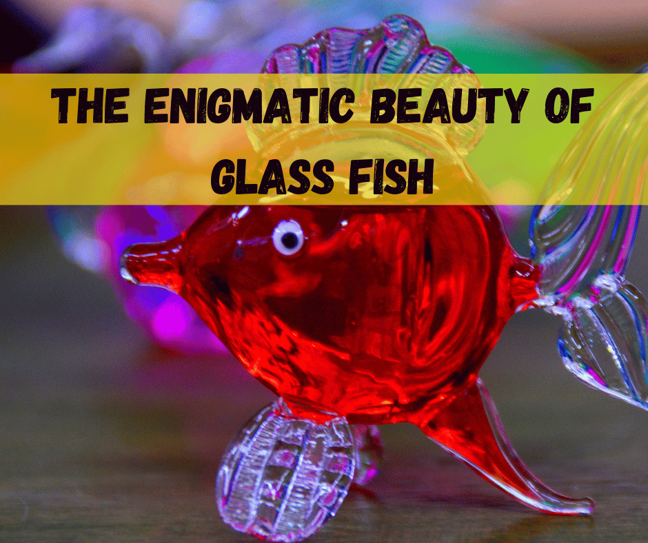 The Enigmatic Beauty of Glass Fish